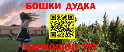 индика Ликино-Дулёво