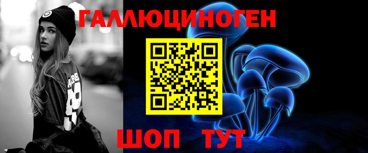 где купить наркоту  Вход с VPN  Зеленогорск  Псилоцибиновые грибы Magic Shrooms  Галлюциногенные грибы мухоморы 